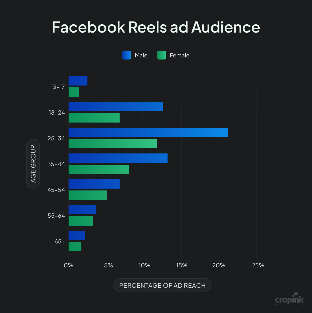 Facebook reels ad audience